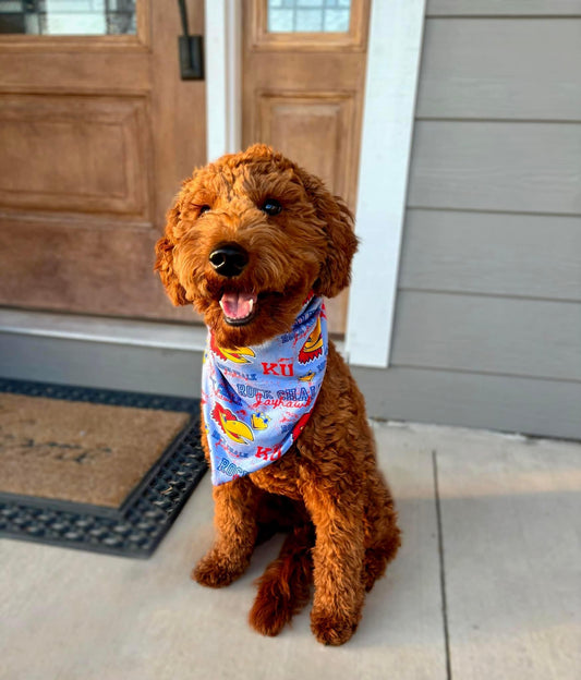 Reversible Dog Bandana