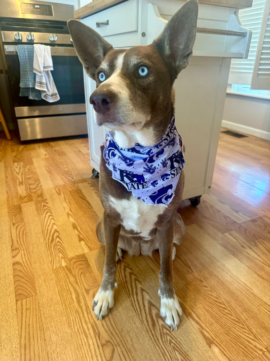 Single Sided Dog Bandanna